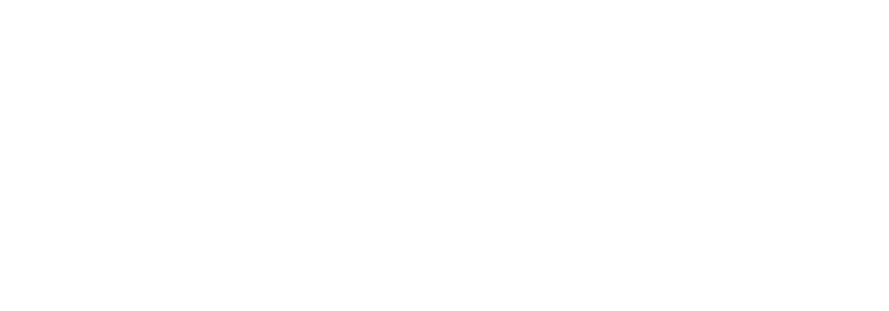 Van-Den-Dorpel-Schilders-Logo-footer
